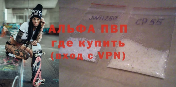 PSILOCYBIN Бородино
