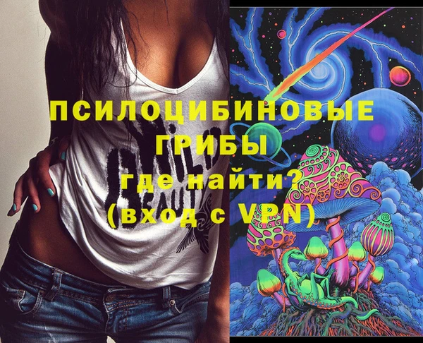 сатива Бронницы