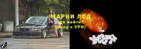PSILOCYBIN Бородино