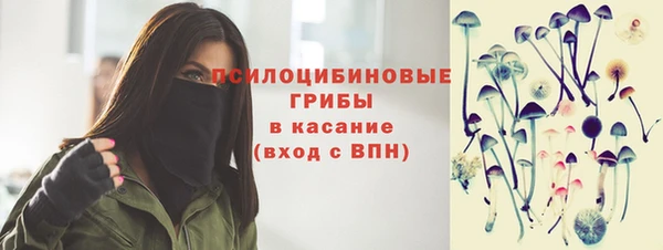 сатива Бронницы