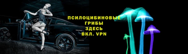 сатива Бронницы