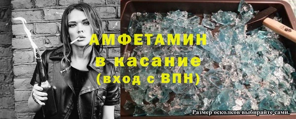 сатива Бронницы