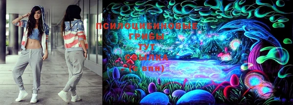 PSILOCYBIN Бородино