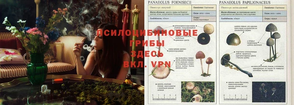 бошки Бугульма