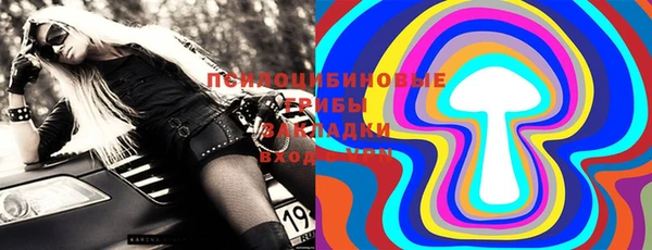сатива Бронницы