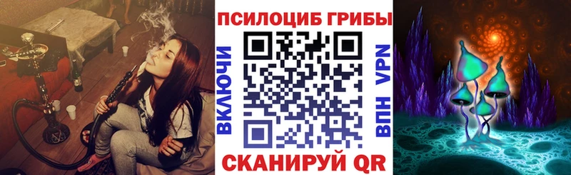Псилоцибиновые грибы Psilocybine cubensis  Калининград 